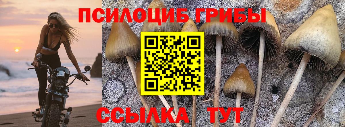 Галлюциногенные грибы мицелий Железногорск