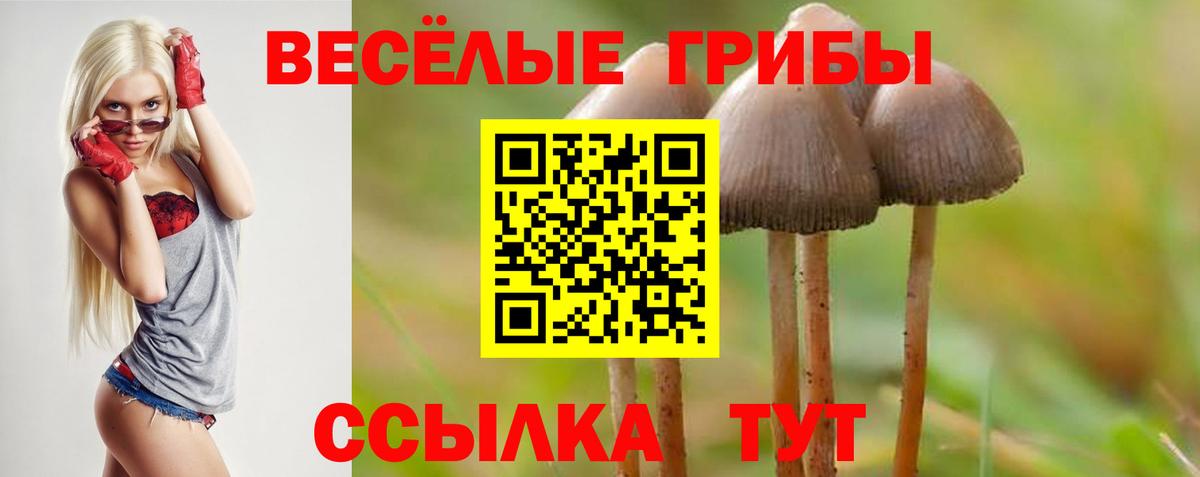 Железногорск  Псилоцибиновые грибы ЛСД  Вход с VPN 